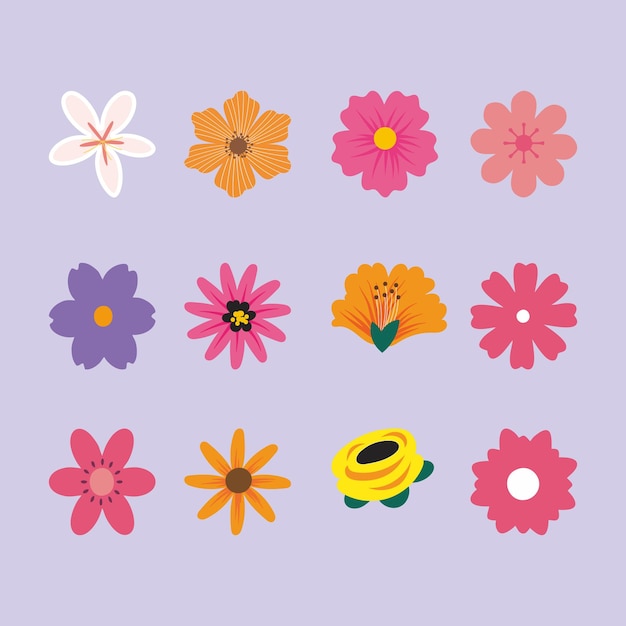 Kinds of flowers