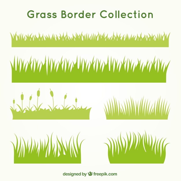 Vector kinds of grass set