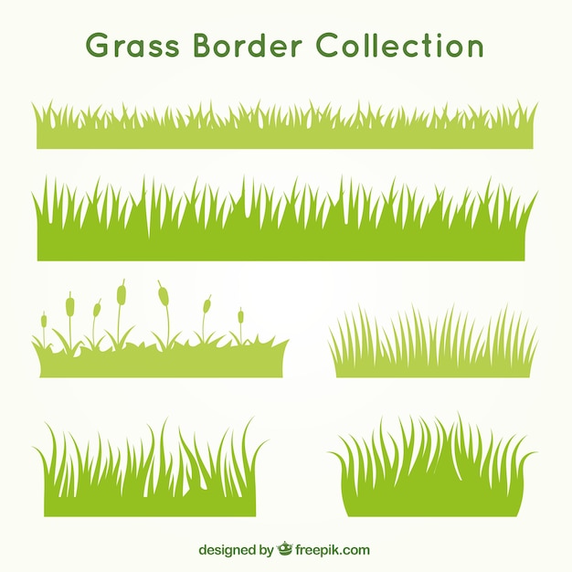 Kinds of grass set