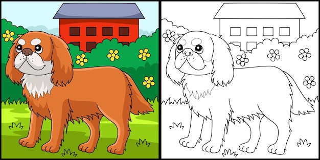 Vector king charles spaniel dog coloring illustration