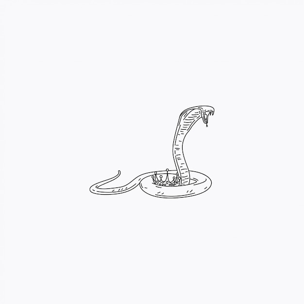 The King Cobra