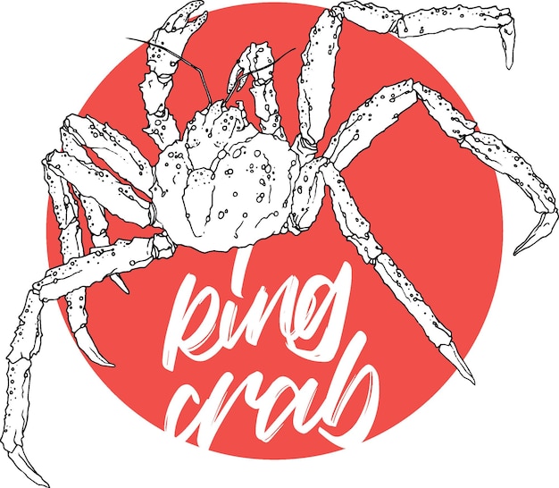 Vector king crab drawn with a line against the red sun