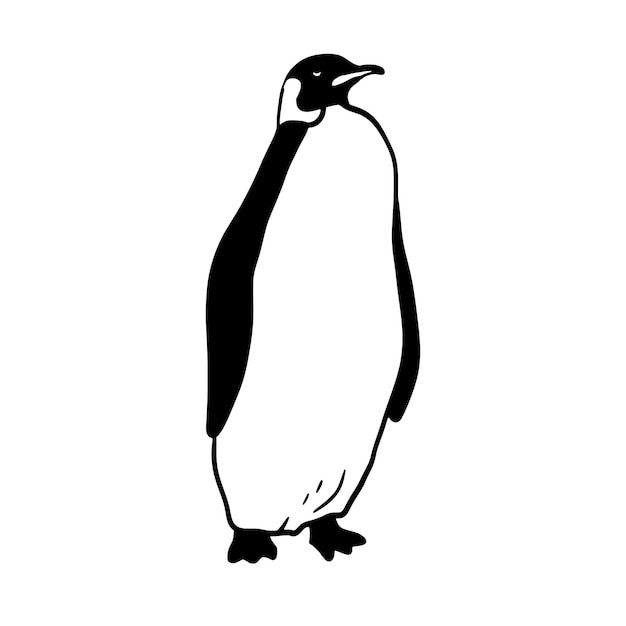 King Penguin Flat vector illustration