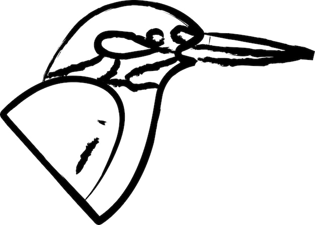 Vector kingfisher bird hand drawn vector illustration