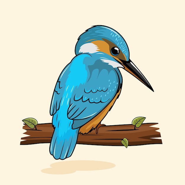 Vector kingfisher bird illustrations cartoon