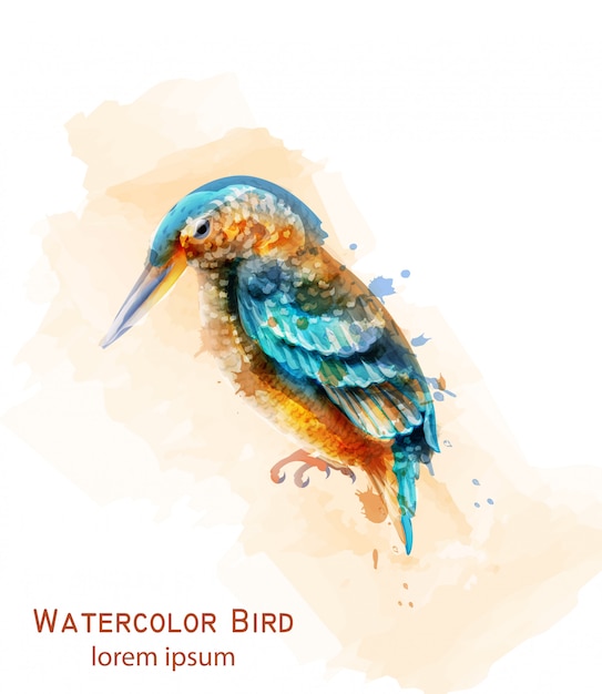 Kingfisher bird watercolor