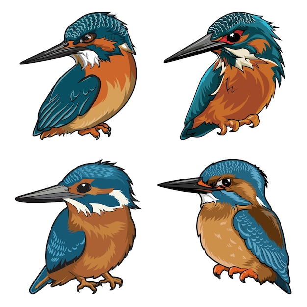 kingfisher cartoon animal head collection icons vector illustration