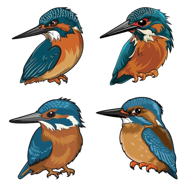 Vector kingfisher cartoon animal head collection icons vector illustration