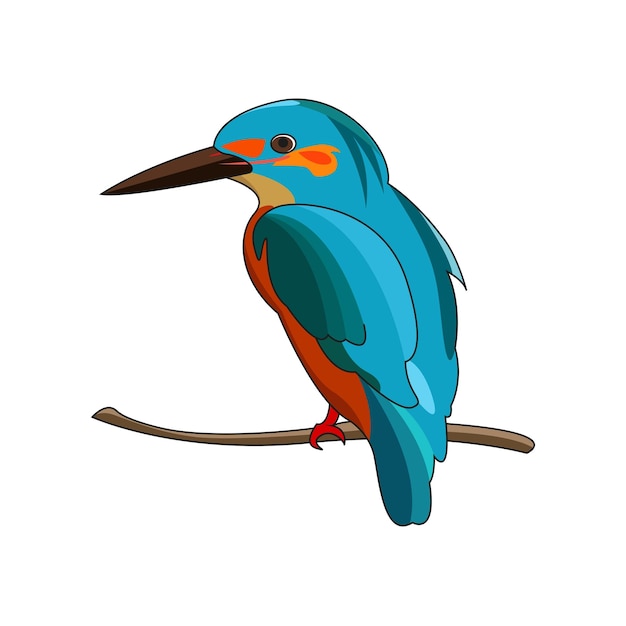 Vector kingfisher flat illustration vector eps