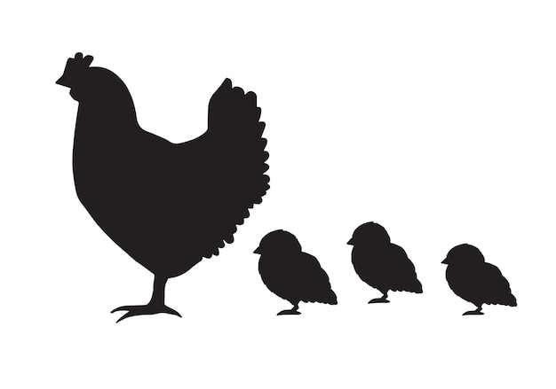 Kip en kuikens silhouetten geïsoleerd op een witte achtergrond