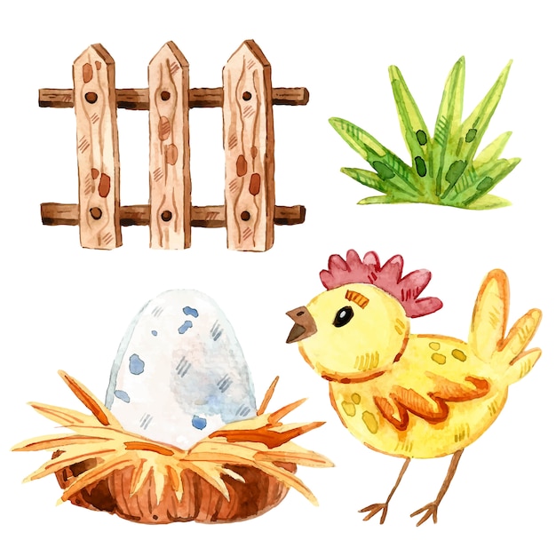 Vector kip, gras, houten hek, nest, ei. landbouwhuisdieren illustraties, set elementen. aquarel illustratie.