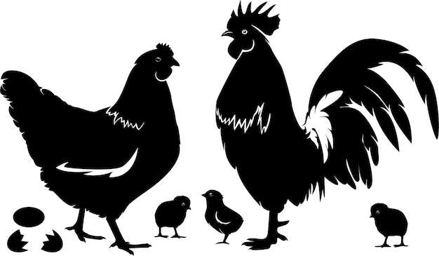 Vector kip vrouwelijke kip kuikens hen silhouet geïsoleerd op witte achtergrond kip silhouet setchicken familie