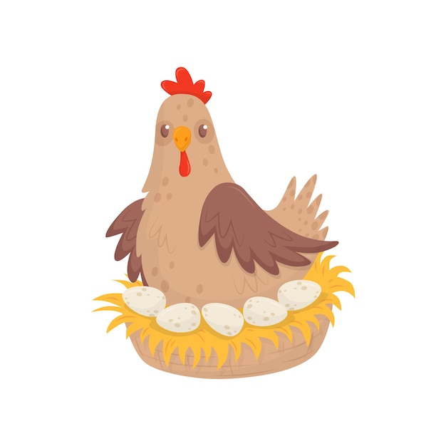 Vector kip zit in nest met eieren gedomesticeerde kippen pluimveehouderij thema platte vector voor reclame poster of banner