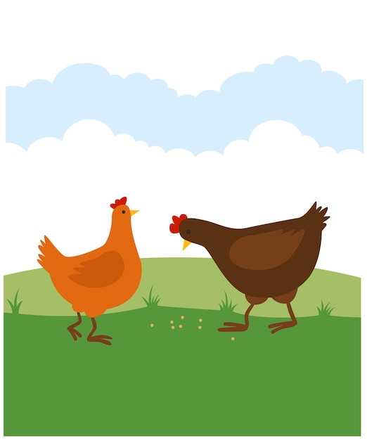 Kippen platte vectorillustratie