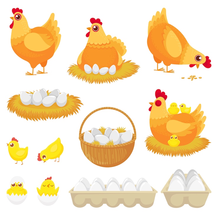 Vector kippeneieren, kippenboerderij ei, nest en lade van kippen eieren cartoon set