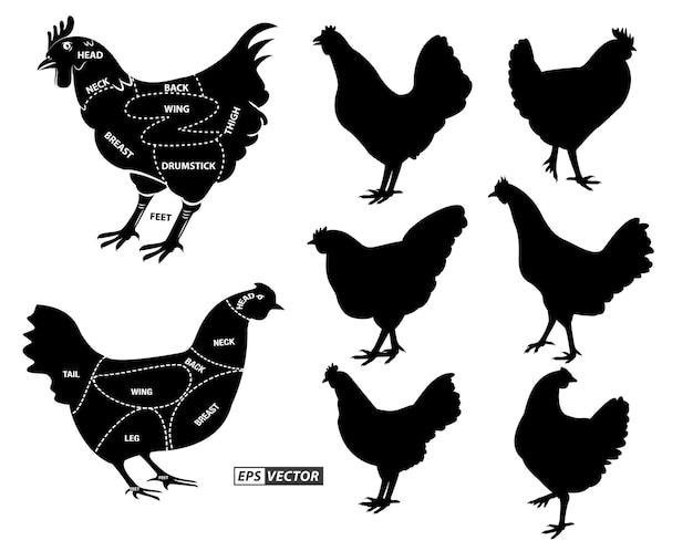 Vector kippenslager diagram of een deel van kippenslager concept eps vector