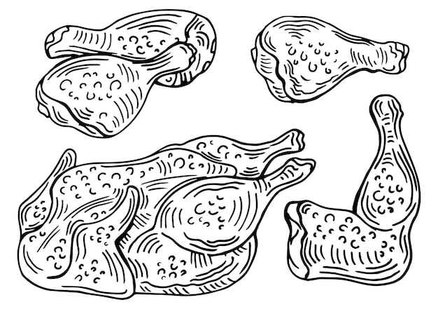 Kippenvlees set vector handgetekende schets, de soorten lichaamsdelen van de kip