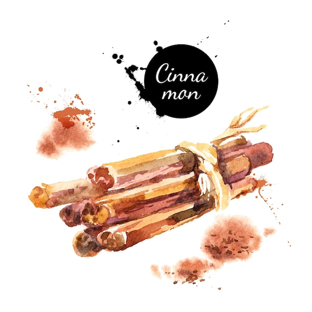 Kitchen herbs and spices banner Vector illustration Watercolor cinnamon