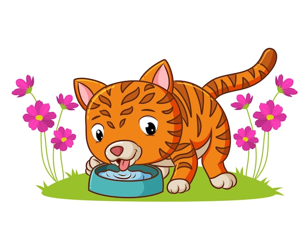 The kitten are drinking the water in the garden of illustration