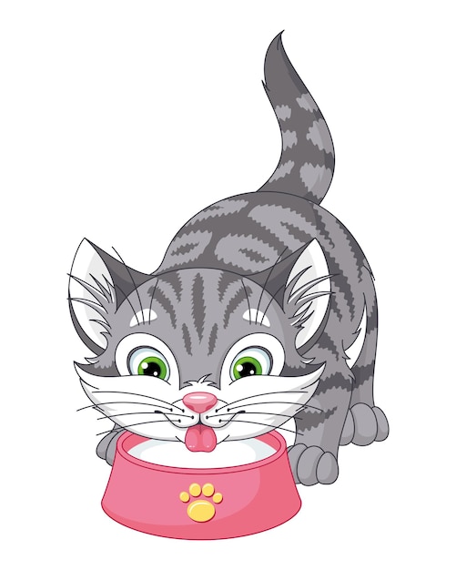 Vector kitten drinking milk from bowl cartoon vector illustration