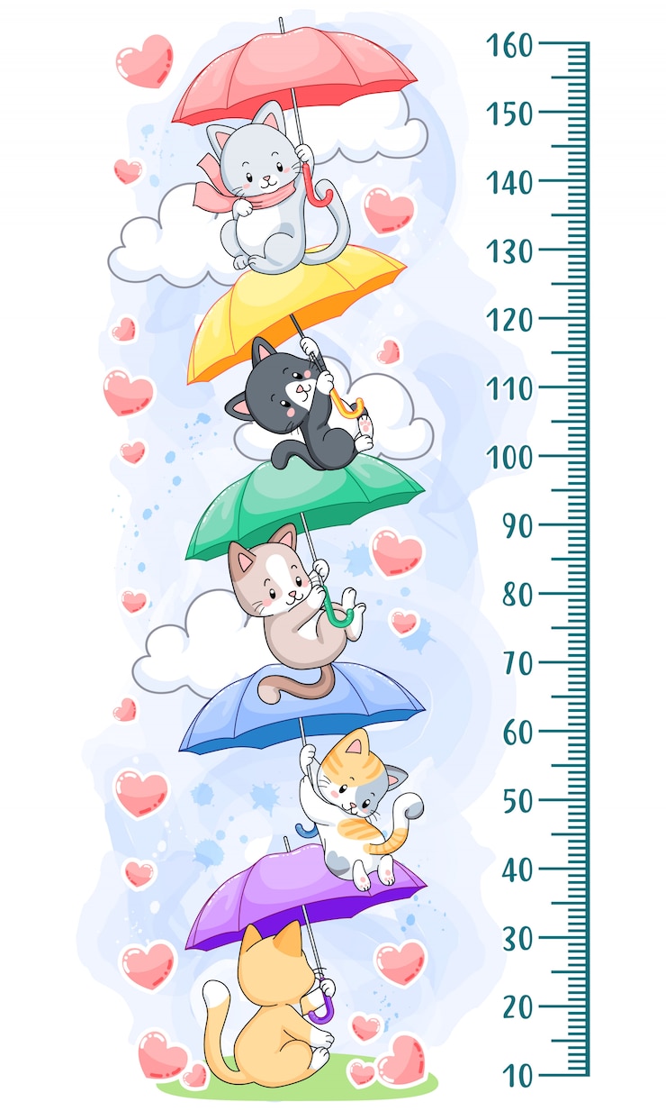 Vector kitten regenboog paraplu's groeimeter