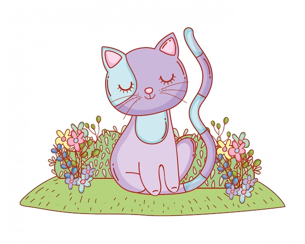 Kitty kat cartoon