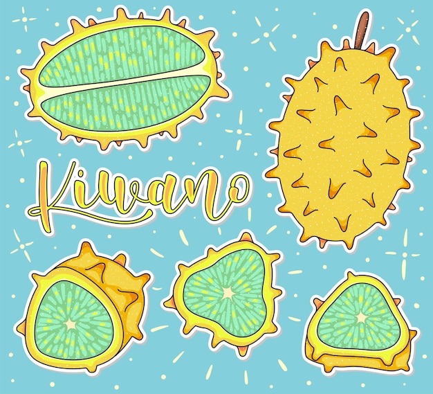 Kiwano geheel en stukjes Vector stock illustratie gekleurde fruit set