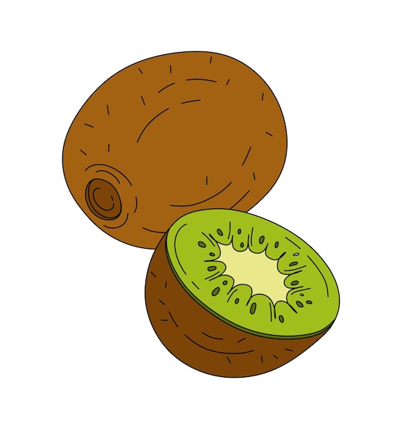 Kiwi doodle linear Vector color illustration isolated on white