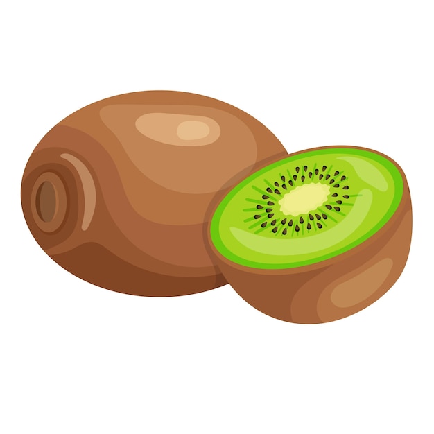 Kiwi fruit cartoon style vector illustration