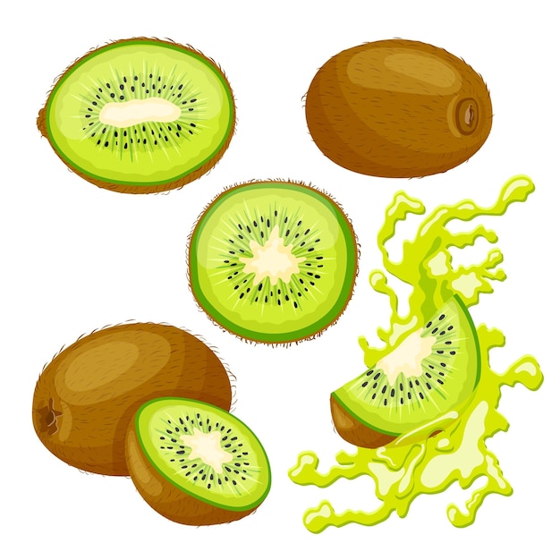 Киви фрукты зеленый набор мультфильм векторные иллюстрации