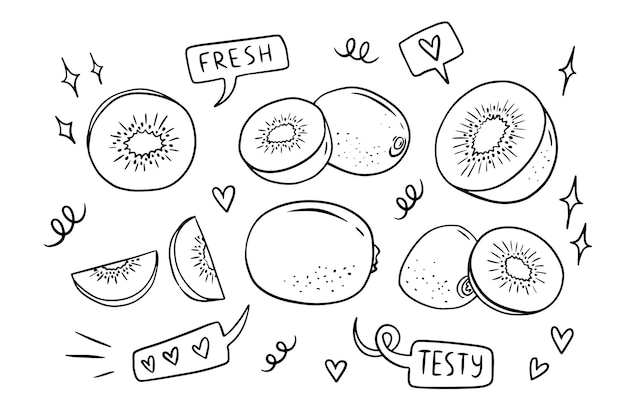 Vector kiwi fruit outline doodle sketch simple line drawing style template isolated