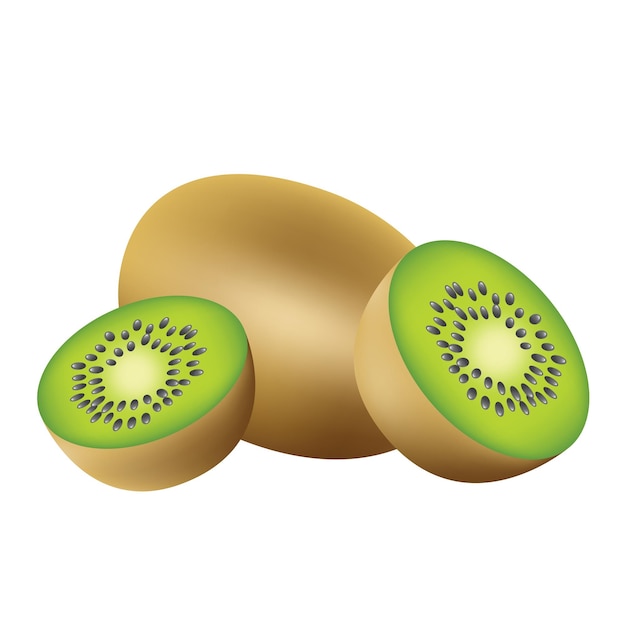 Kiwi fruit vector art