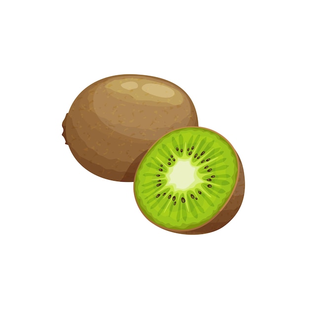 Kiwi fruit verse tropische plant vector kiwi's