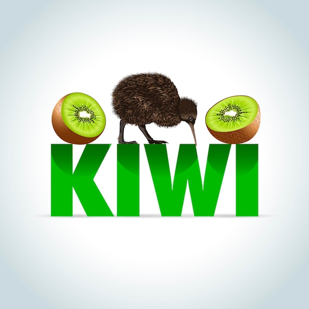 Vector kiwi illustration animal and fruit cartoon