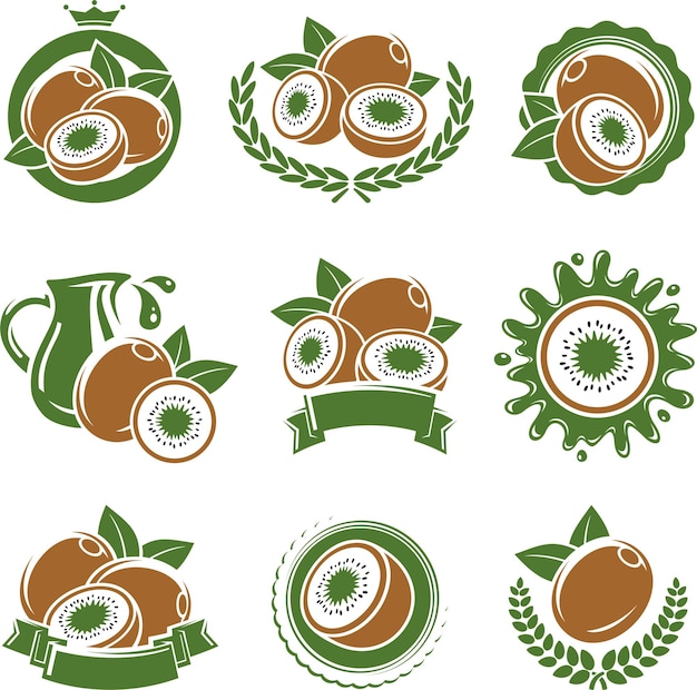 Kiwi-labels en -elementen instellen Vector