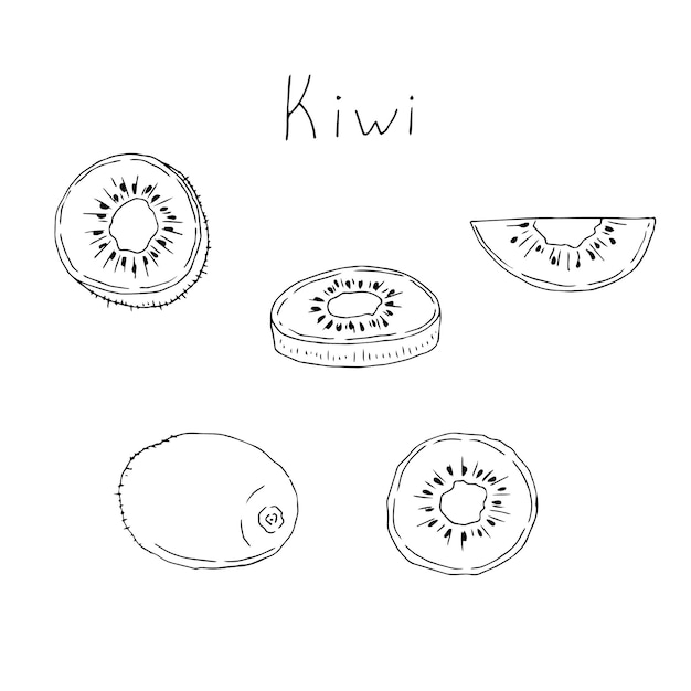 Kiwi set vector illustratie hand tekenen schets