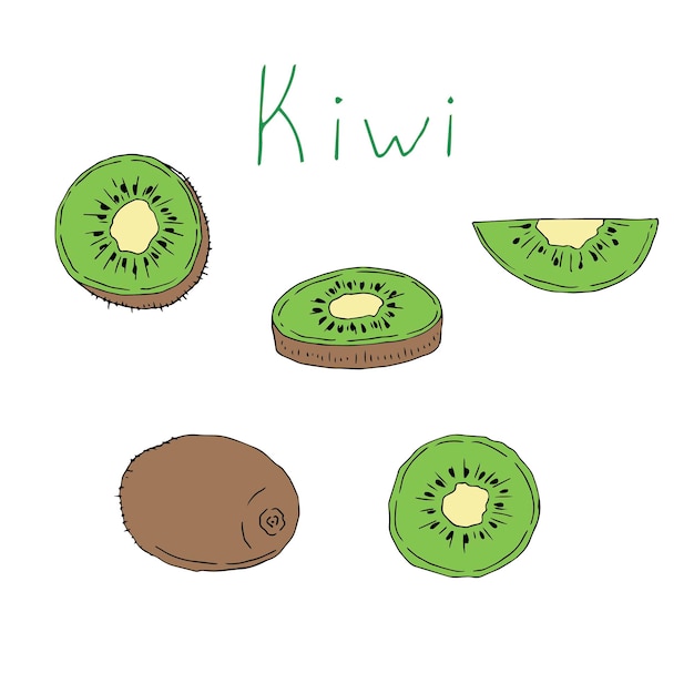 Vettore kiwi set illustrazione vettoriale disegno a mano schizzo colorato