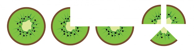 Kiwi  slice icon vector isolated on white background.