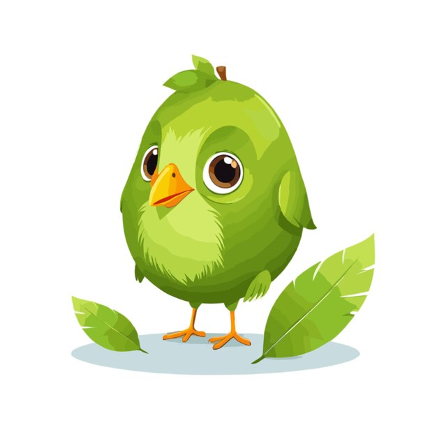 Kiwi vector on a white background