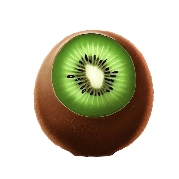 kiwi vectorillustratie