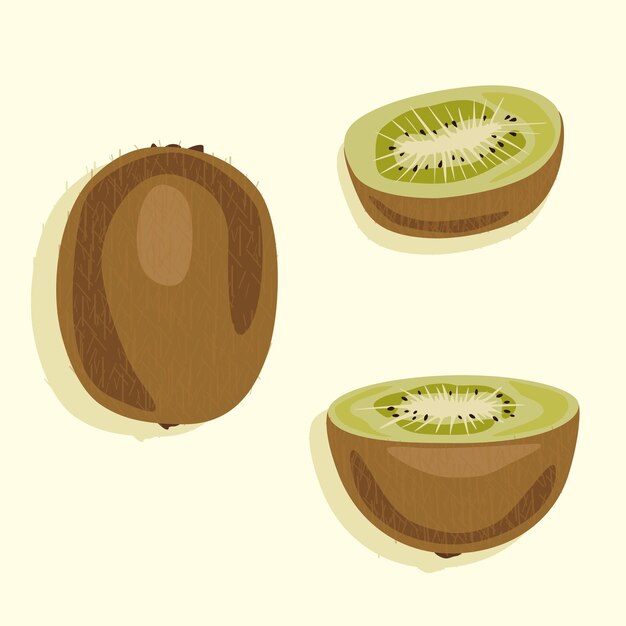 kiwi whole cut in half and a round slice of kiwi tropical berries vector fruit icons