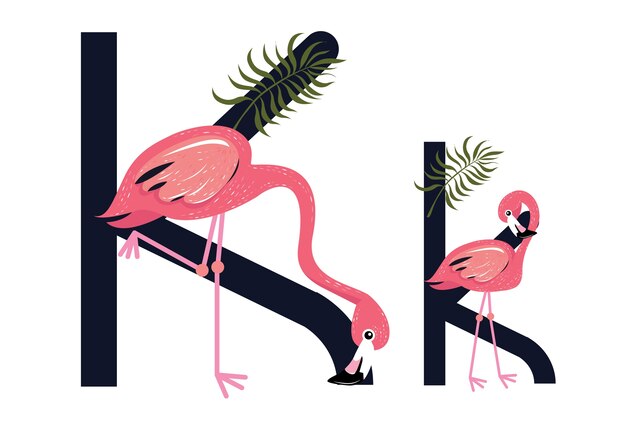 Vector kk flamingos