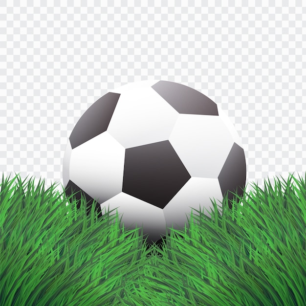 Klassiek voetbal op groen gras