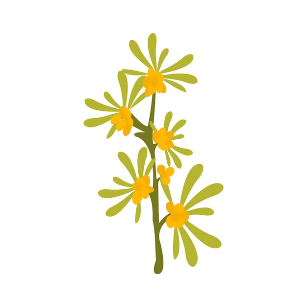 Kleine forsythia-boomtak met verse gele vectorafbeelding met vectorillustratie