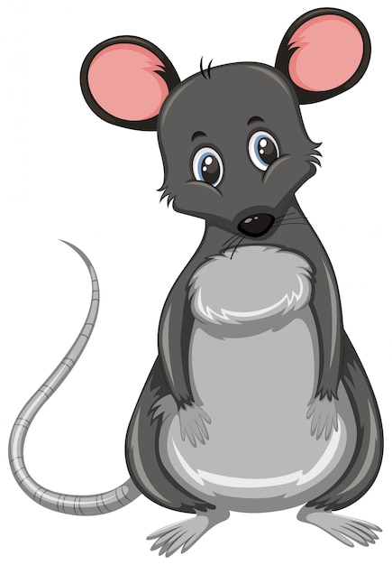 Vector kleine schattige grijze rat
