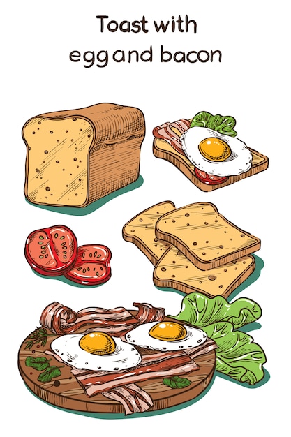 Vector kleur schets toast met ei en spek