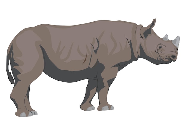 kleur vectorillustratie van een neushoorn, zijaanzicht.
