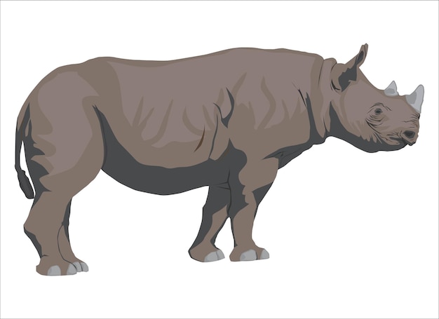 Vector kleur vectorillustratie van een neushoorn, zijaanzicht.