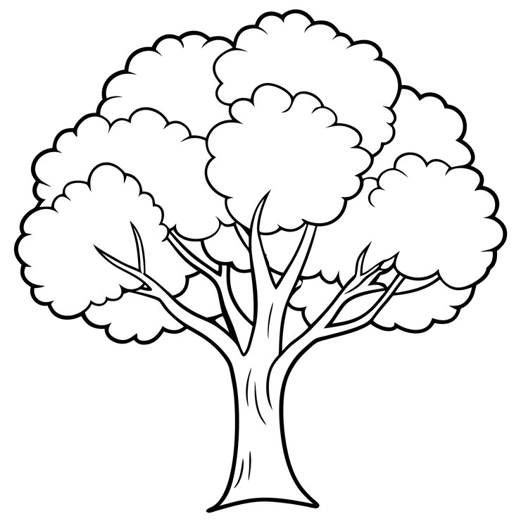 Kleurbladen Bomen Natuur Schoonheid vastgelegd in leuke illustraties