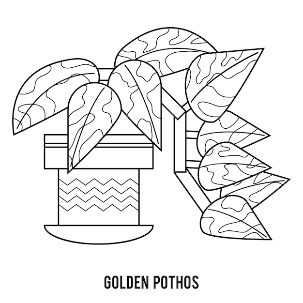 Kleurboek Gouden pothos